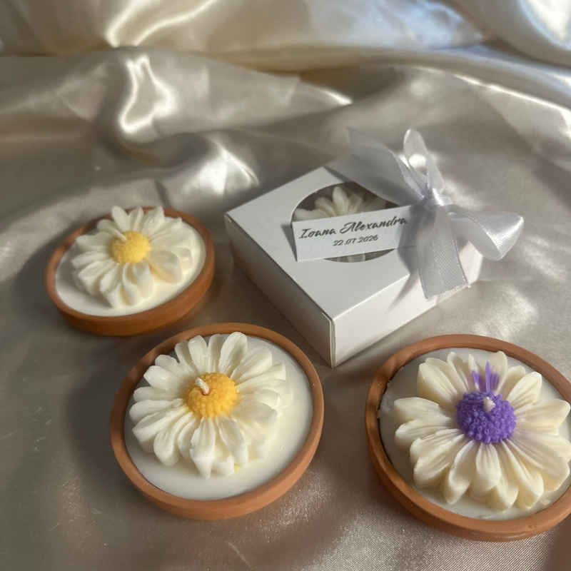 Marturie pentru nuntă sau botez - Margaretă în vas ceramic - Mărturie parfumată și personalizată pentru fiecare eveniment.