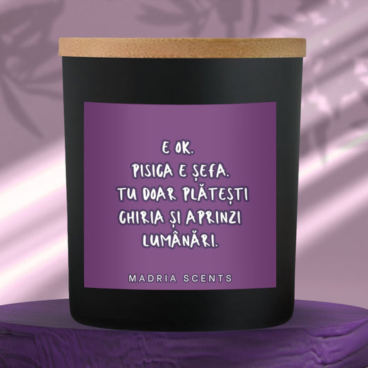 Lumânare parfumată handmade cu mesaj personalizat – cadou ideal pentru iubitorii de pisici.