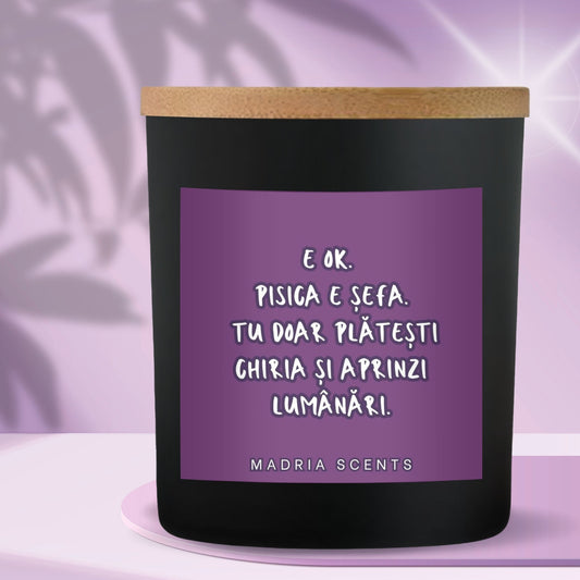 Cadou original pentru stăpânii de pisici – lumânare parfumată cu etichetă personalizată.